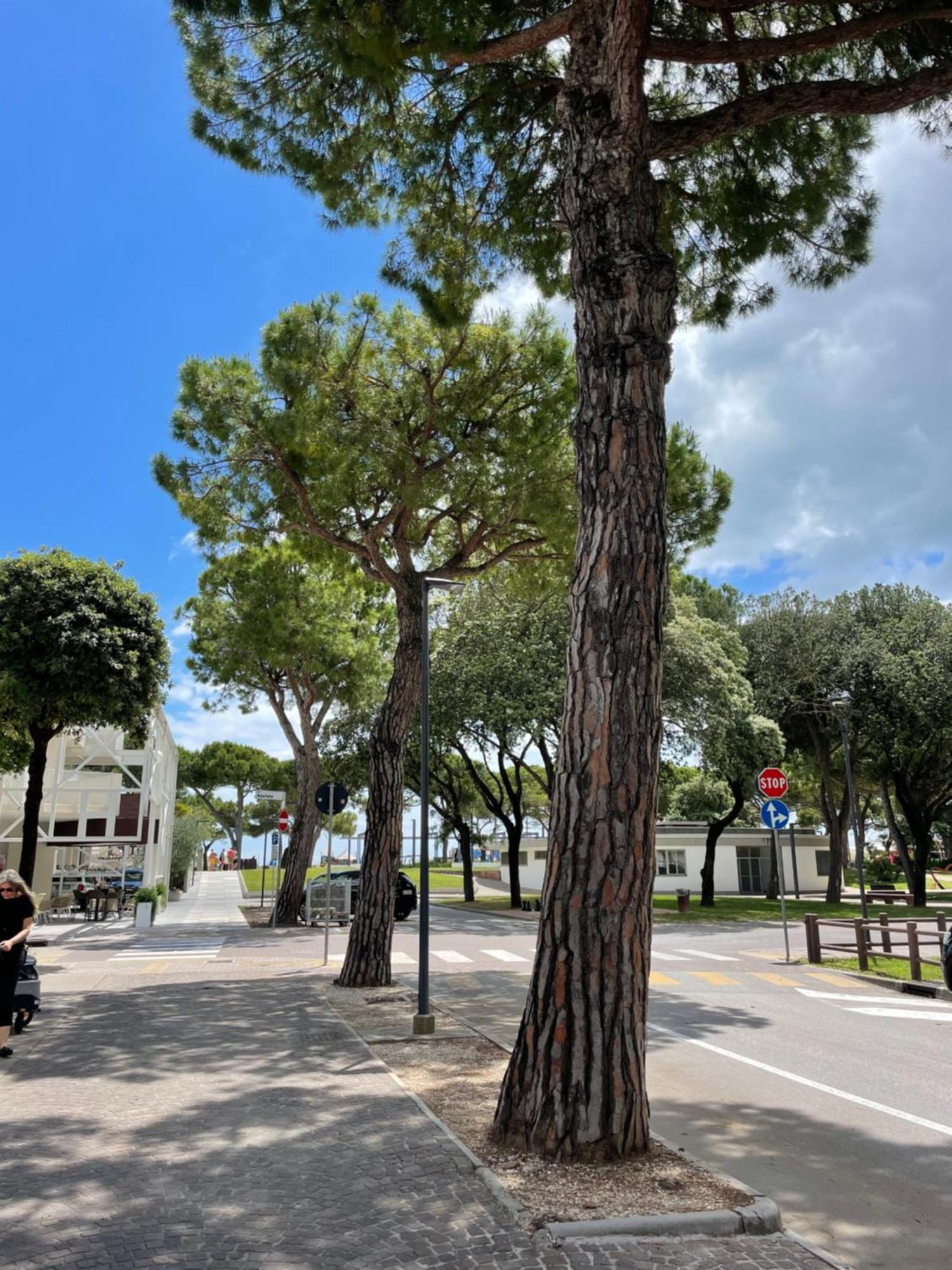 Villa Paradiso Lignano Sabbiadoro Exterior foto